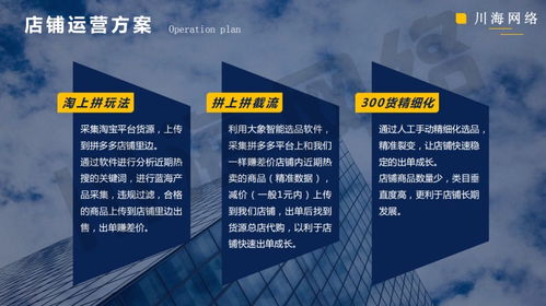 陕西拼上拼贴牌软件与大象采集 精细化运营助力拼多多代掘金