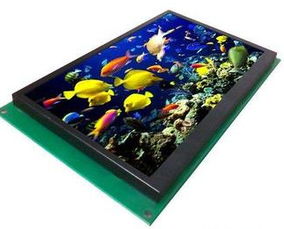 赛亿科技携手奥芯软件 物联网应用技术下的智能控制板开发与全栈电子方案